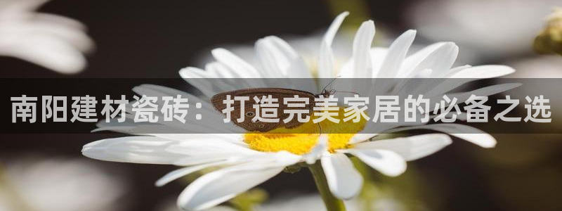 杏鑫平台官方网站